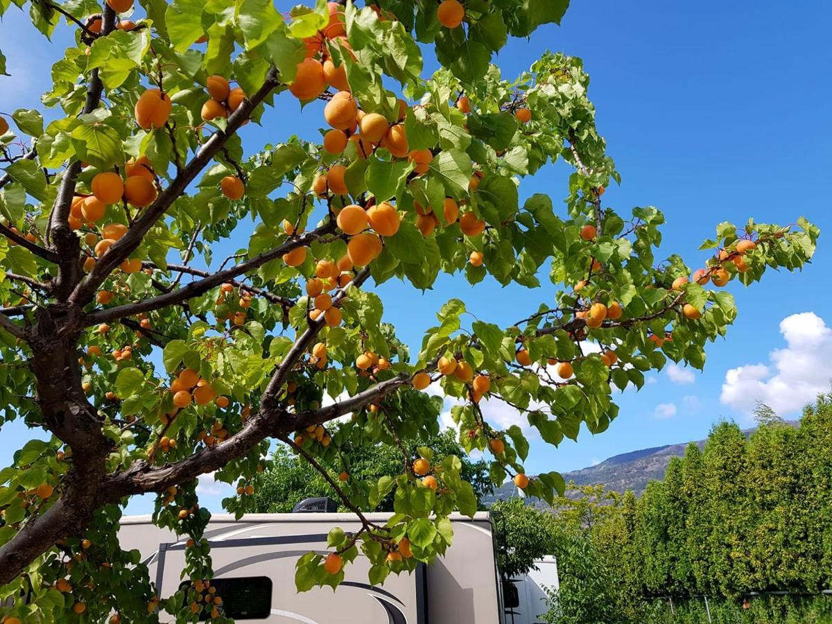 The Orchard At Oliver Exterior photo